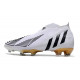 adidas Crampons Foot Predator Edge+ FG Blanc Noir Or