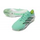 Chaussures Adidas Predator Elite L FG Vert Argent